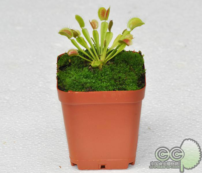 kaiyun官网入口|曝光台:河北是石家庄、邢台,山西运城企业(单位)存环境问题(图1) 开云kaiyun官方网站