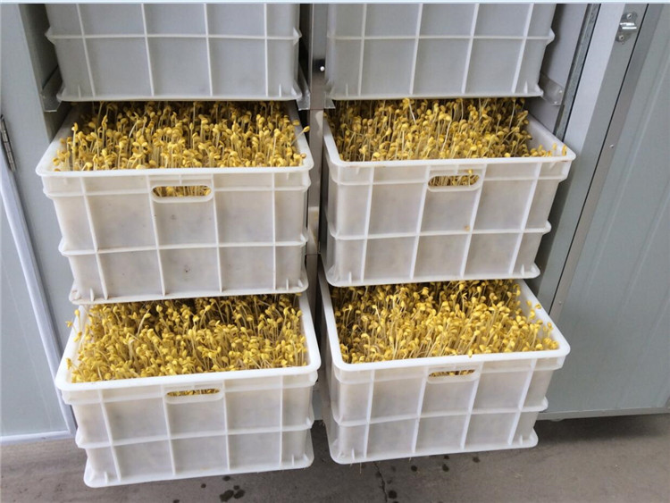 Kaiyun官方网站-全新!2017畜牧行业面临的五大挑战!(图1) Kaiyun官方网站