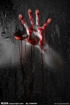 “kaiyun官网入口”农业部监测显示:猪肉价格已回落到灾前水平(图4) Kaiyun官方网站