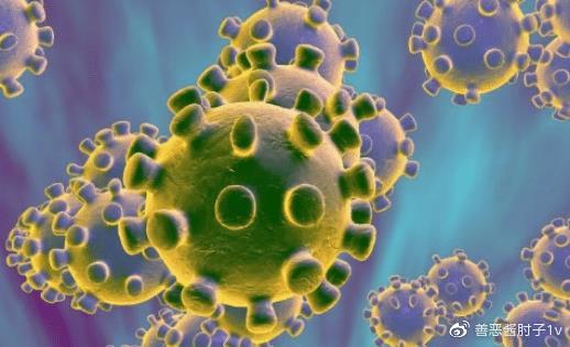 开云kaiyun官方网站:力压布斯克茨克罗斯!维特塞尔欧冠传球成功率排第一(图1) Kaiyun官方网站