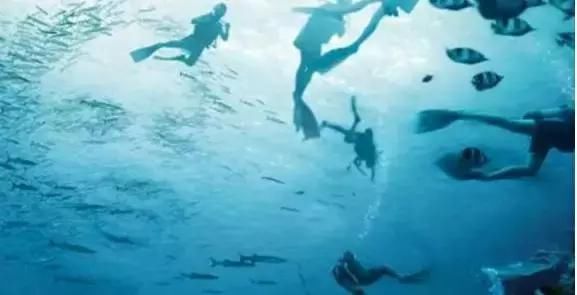 开云kaiyun官方网站