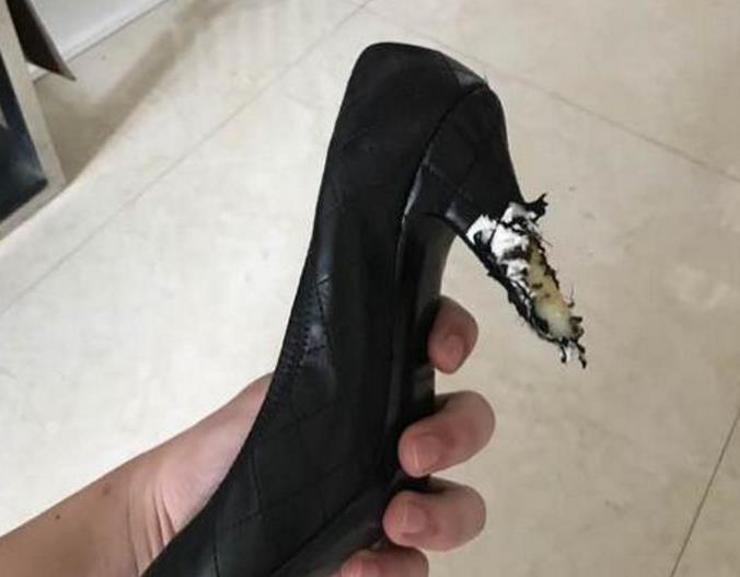 开云kaiyun官方网站