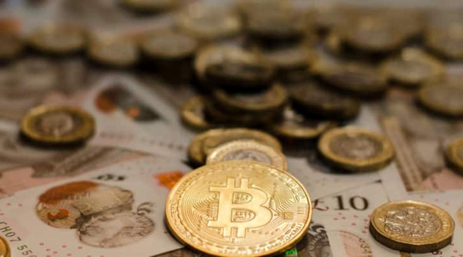 【开云kaiyun官方网站】农业部监测显示:猪肉价格已回落到灾前水平(图3) Kaiyun官方网站