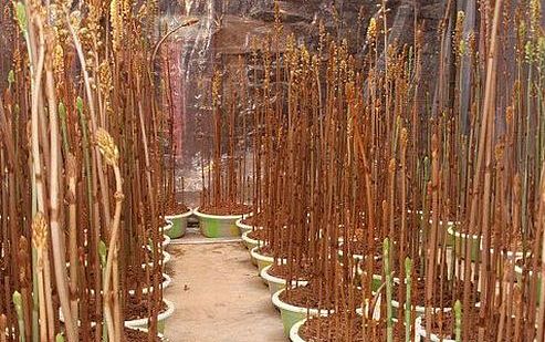 开云kaiyun官方网站