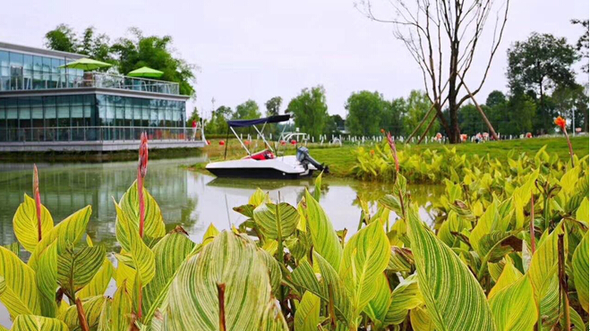 开云kaiyun官方网站