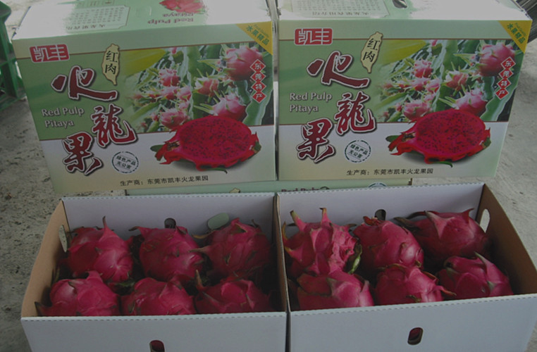 kaiyun官网入口:依法打击破坏野生动物资源违法犯罪专项行动电视电话会议在京召开(图2) 开云kaiyun官方网站