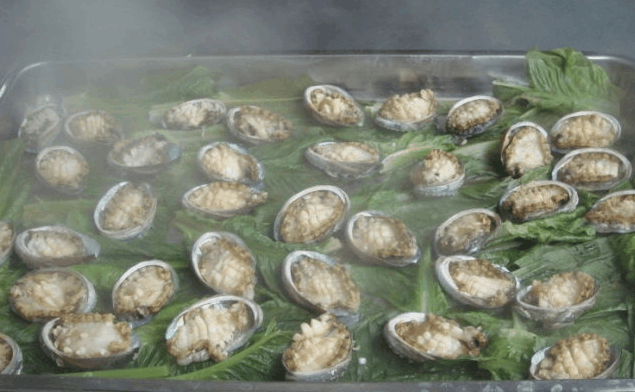 巴勒斯坦发生口蹄疫疫情|开云kaiyun官方网站(图4) Kaiyun官方网站