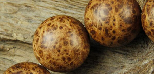 不同类型猪免疫不同“Kaiyun官方网站”(图2) 开云kaiyun官方网站