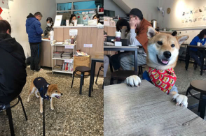 开云kaiyun官方网站|小禾的家@中信环境技术举行首次社区环保公益绘本分享活动(图4) 开云kaiyun官方网站