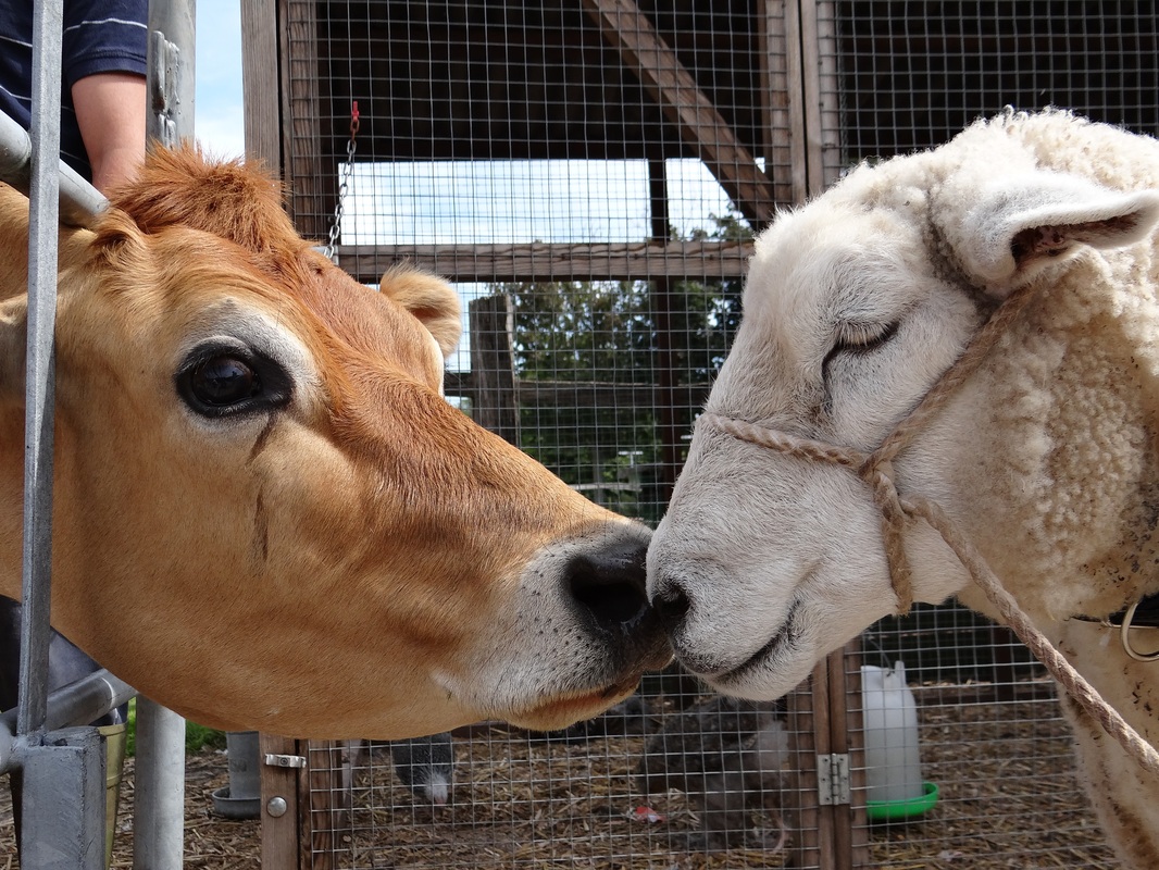 开云kaiyun官方网站