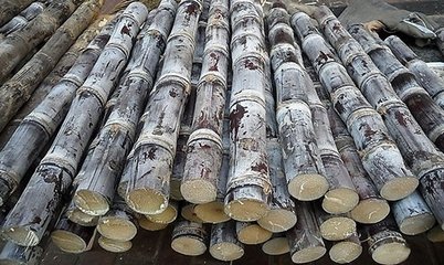 开云kaiyun官方网站