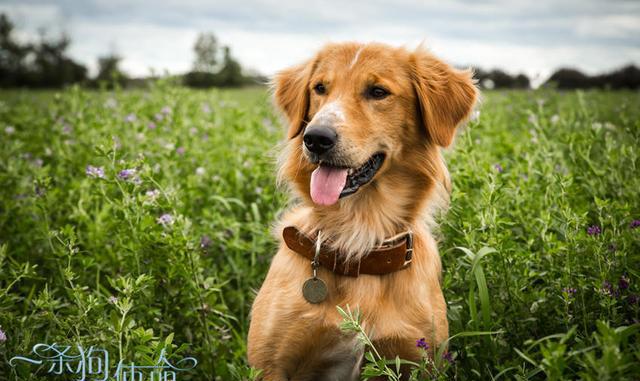 盘货C罗五大连梅西都遥不行及的欧冠纪录,不愧为欧冠之王:kaiyun官网入口(图2) kaiyun官网入口