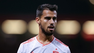 大银山偷埋万头病死猪 谁之过?‘kaiyun官网入口’(图1) kaiyun官网入口