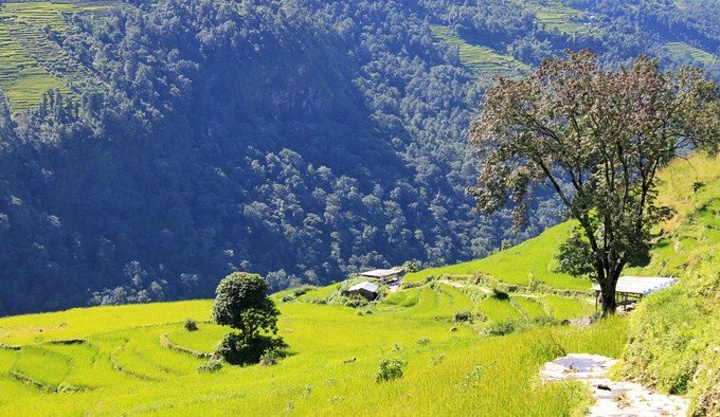 开云kaiyun官方网站