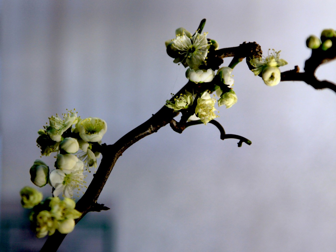 开云kaiyun官方网站